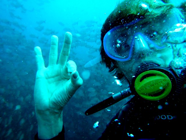 Diver signals OK