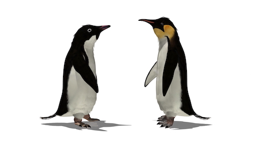 penguins facing off