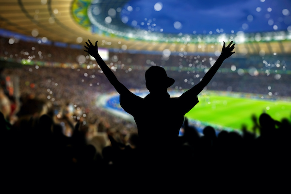 person celebrating in the stands of a soccer stadium